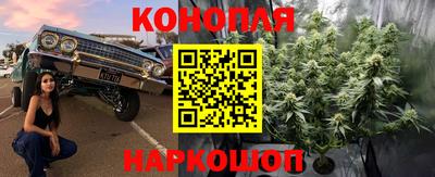 ГАЛЛЮЦИНОГЕННЫЕ ГРИБЫ Гатчина