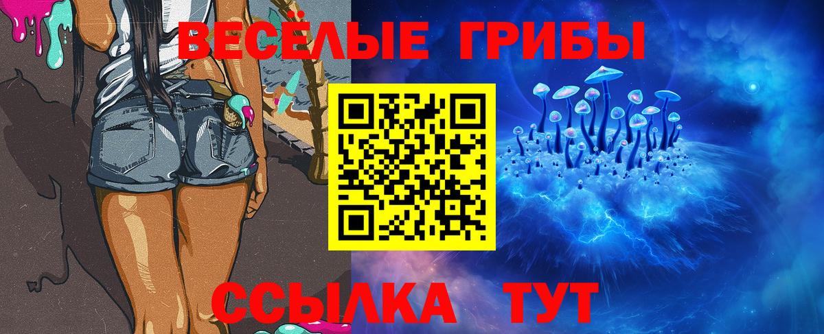 магазин продажи наркотиков  Псилоцибиновые грибы мухоморы  Вход с VPN  Мелеуз 